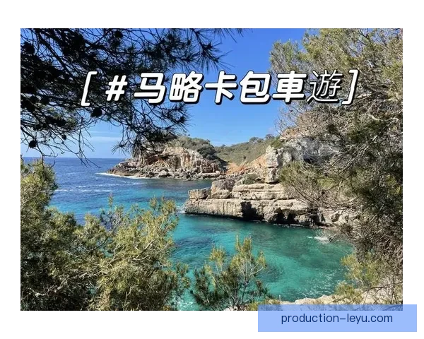 从海岛热情到看台传承揭秘马略卡球迷文化的荣耀与坚守精神故事与岁月